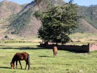 Archaeological sites around Cuzco - Amazing Peru