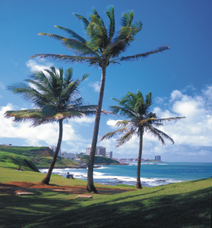Playas del Salvador