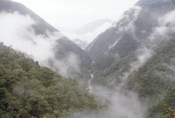 chanchamayo