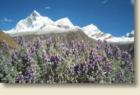 Nevado Huandoy