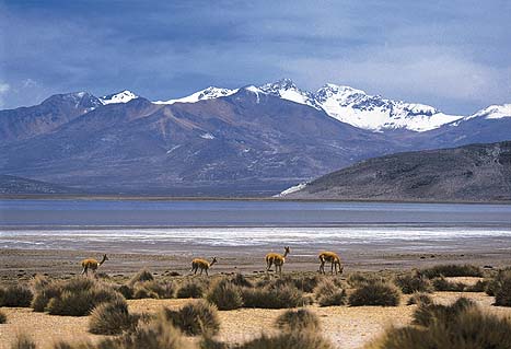 Valley of the volcanoes