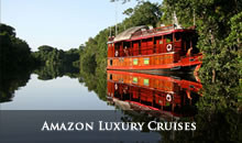 Amazon Cruises