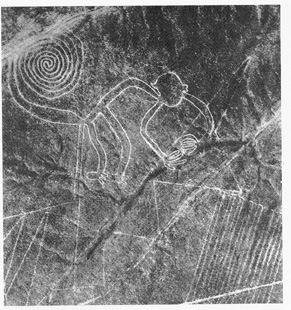 Nazca lines