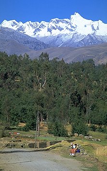 Mount Cashan
