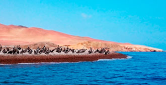 Paracas Islands