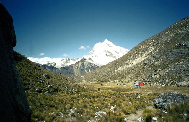 Pisco