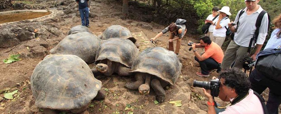 2025 Christmas Peru and Galapagos Tour