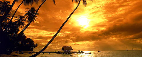 Caribbean Escapes Tobago Tour Caribbean Escapes Tobago Tour
