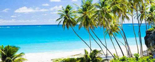 Caribbean Escapes Trinidad Tour