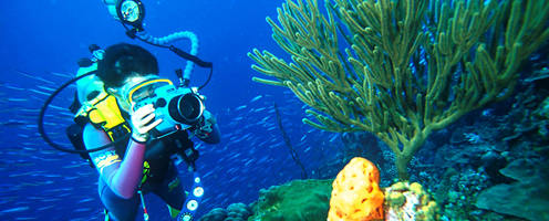 Bonaire Tour Bonaire Tour