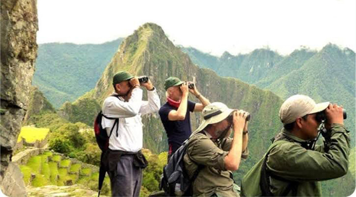 Escorted Birding tours in Manu