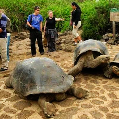 2018 Christmas Peru and Galapagos Tour 2018 Christmas Peru and Galapagos Tour