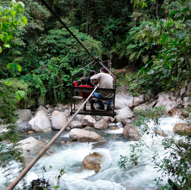Birding Tours around Peru Birding Tours around Peru