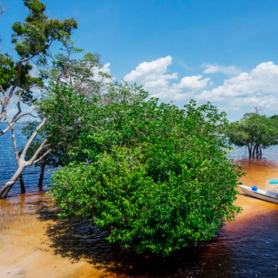 2018 Christmas Brazil Tour<br />
Iguazu Falls & Amazon River Cruise from Manaus 2018 Christmas Brazil Tour<br />
Iguazu Falls & Amazon River Cruise from Manaus