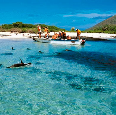 Ecuador & Galapagos Deluxe Adventure Land Tour Ecuador & Galapagos Deluxe Adventure Land Tour