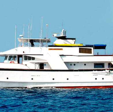 First Class 8 day Galapagos cruise & Machu Picchu Christmas Tour First Class 8 day Galapagos cruise & Machu Picchu Christmas Tour