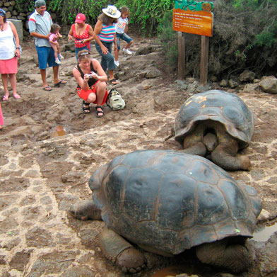 Machu Picchu and Galapagos Islands Machu Picchu and Galapagos Islands