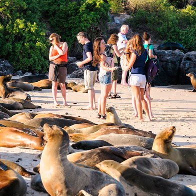Peru and The Galapagos Islands Peru and The Galapagos Islands