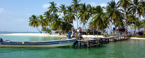 Panama Bird Watching