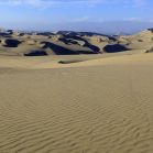SIGHTSEEING TOURS (COAST AND DESERT) SIGHTSEEING TOURS (COAST AND DESERT)