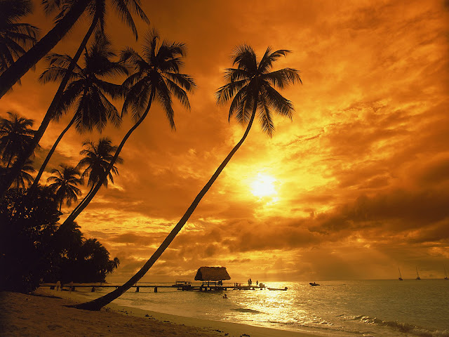 Caribbean Escapes Tobago Tour Caribbean Escapes Tobago Tour