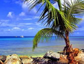 Caribbean Escapes Trinidad Tour Caribbean Escapes Trinidad Tour