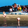 2025 Accessible Galapagos Tour 2025 Accessible Galapagos Tour