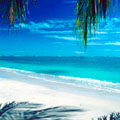 Affordable Costa Rica Adventure – San Jose San Carlos, Cano Negro & Guanacaste ( 8 days, 7 nights )