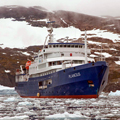 Antarctica Cruises