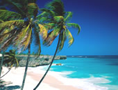 Barbados Tour