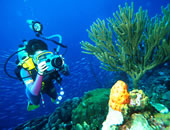 Bonaire Tour Bonaire Tour