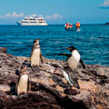 Christmas in Ecuador & Galapagos 2024 - 5 day cruise on the Beluga Yacht