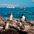 Christmas in Ecuador & Galapagos 2025 - 5 day cruise on the Beluga Yacht