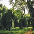 cuba_tours
