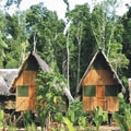 Eco Amazonia