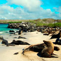 Ecuador & Galapagos Adventure Land Tour Ecuador & Galapagos Adventure Land Tour