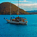 Galapagos 5 days Cruise