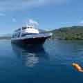 Galapagos Cruises