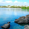 Galapagos Island - Land Based Adventure Tours