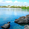 Galapagos Island - Land Based Adventure Tours