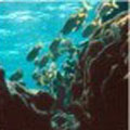 honduras_tours