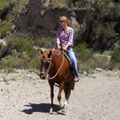 Horseback Riding Adventure across the Andes Horseback Riding Adventure across the Andes