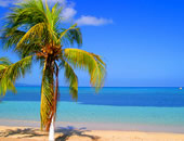 Caribbean Escapes Jamaica