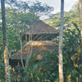 Wasai Lodge