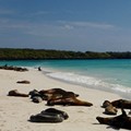 Luxury Peru & Galapagos Cruise