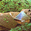 Manu Cloud Forest Lodge Manu Cloud Forest Lodge