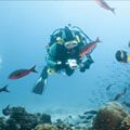 Marvels of Latin America - Assisted - Galapagos Islands, Machu Picchu & Easter Islands Marvels of Latin America - Assisted - Galapagos Islands, Machu Picchu & Easter Islands