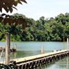 Panama - The Darian Gap Panama - The Darian Gap