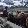 Peruvian Highlands