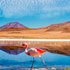 Photo tour of South America Photo tour of South America